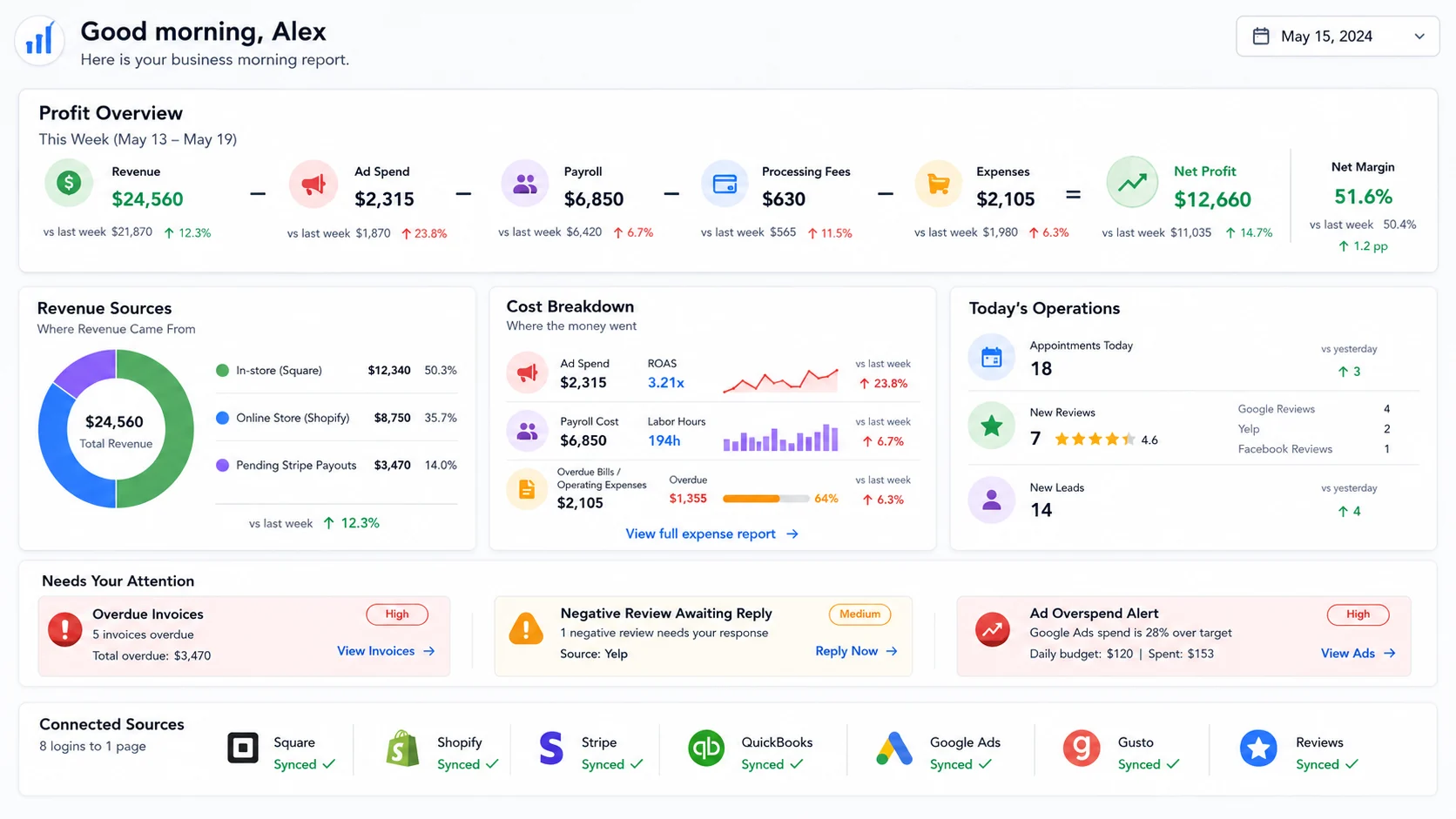 Daily Business Snapshot morning report interface